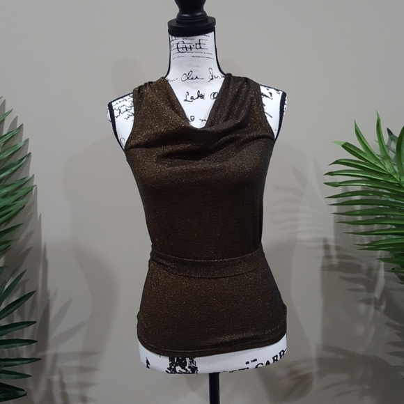 Dkny Tops - ⭐2/$15 DKNY Glitter Brown Top